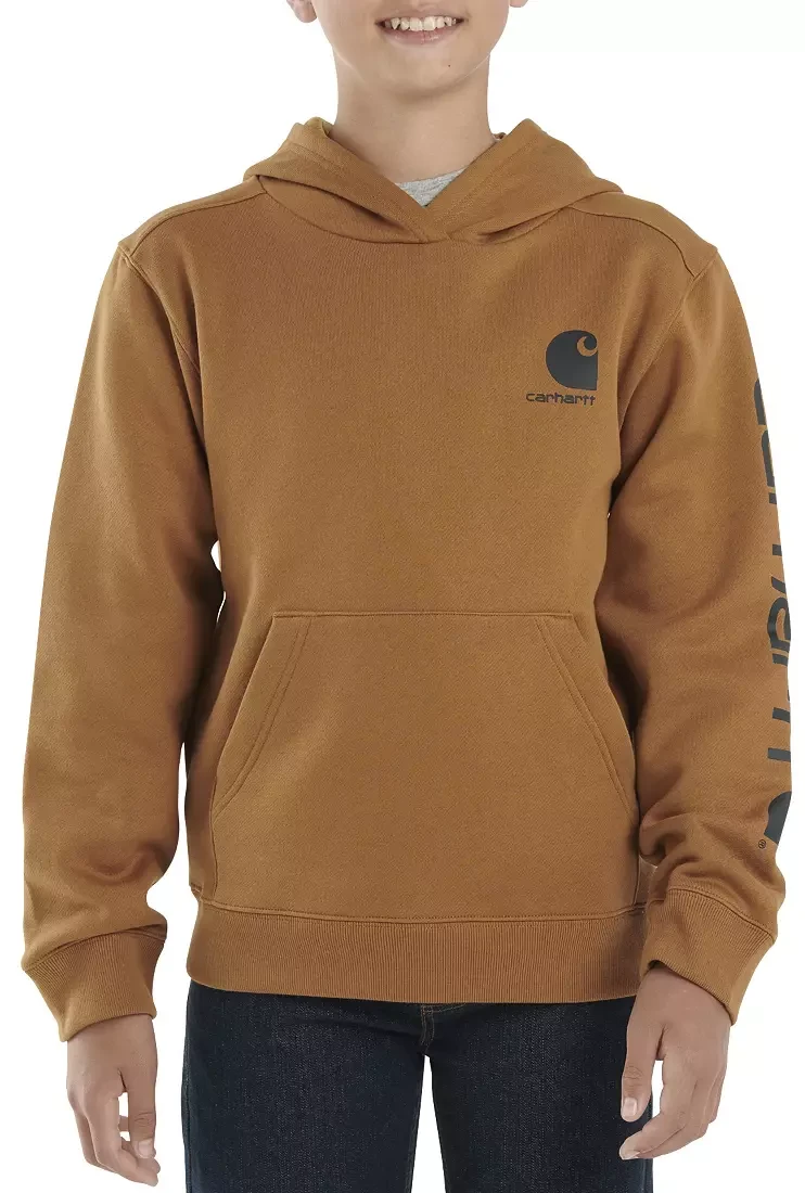 Carhartt Boys' Graphic Hoodie